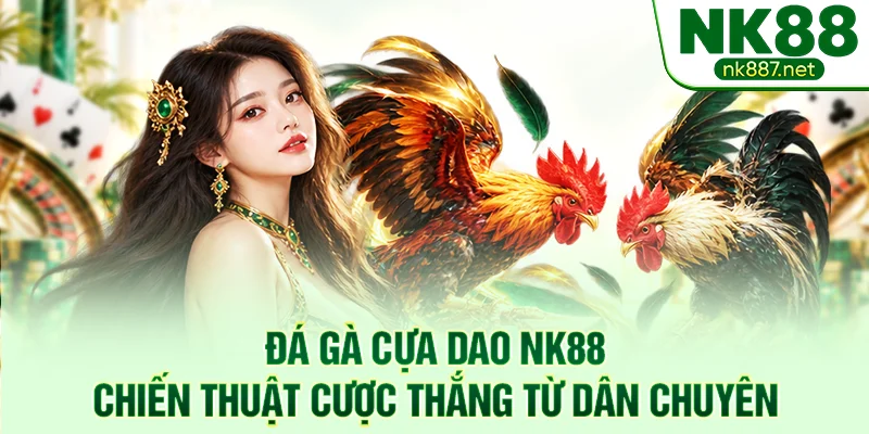 Đá Gà Cựa Dao NK88 - Chiến Thuật Cược Thắng Từ Dân Chuyên
