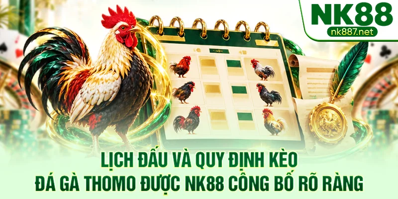 Lịch đấu và quy định kèo đá gà Thomo được NK88 công bố rõ ràng